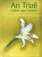 An triail: cabhair agus cúnamh : nótaí don ardteistméireacht