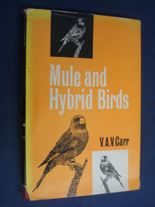 Mule and hybrid birds