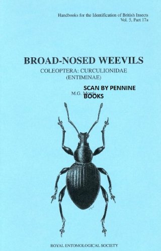 BROAD-NOSED WEEVILS COLEOPTERA VOL5 ,17A