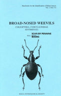 BROAD-NOSED WEEVILS COLEOPTERA VOL5 ,17A
