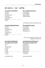 Load image into Gallery viewer, Easy Learning Irish Verbs (Collins Easy Learning Irish)