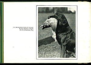 The Labrador retriever