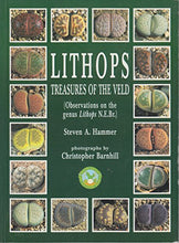 Load image into Gallery viewer, Lithops: Treasures of The Veld