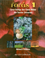 Forás 1: Cúrsa Gaeilge done Chéad Bhliain den Teastas Sóisearach