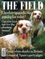 The Field magazine, February 2002: Clumber spaniels, gundogs, great white sharks, Spanish partridges
