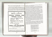 Load image into Gallery viewer, Two Centuries of Irish History