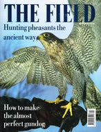The Field magazine, April 2002: hunting pheasants the ancient way, how to make the almost perfect gundog