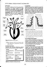 Load image into Gallery viewer, Leaving Certificate Agricultural Science
