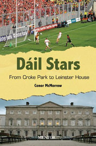 Dail Stars from Croke Park to Leinster House