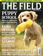 The Field magazine, March 2011: puppy school, pairs of guns, salmon, shooting ground game, rabbits and hares, covert girls, terrifying hunting, saucy streakers