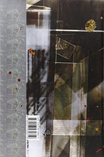 Load image into Gallery viewer, Facing the Other Way: The Story of 4AD