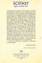 Load image into Gallery viewer, Ecstasy agus Scéalta Eile (Ecstasy and Other Stories)