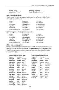 Easy Learning Irish Verbs (Collins Easy Learning Irish)