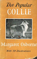 The Popular Collie