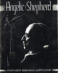 Angelic Shepherd