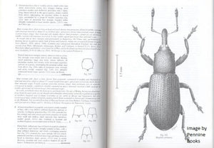 Coleoptera: Curculionidae (subfamilies Raymondionyminae to Smicronychinae) (Pt. 1) (Handbooks for the Identification of British Insects)