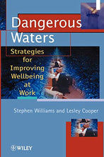 Load image into Gallery viewer, Dangerous Waters: Strategies for Improving Wellbeing at Work: 2 (Wiley Series in Work Well-Being &amp; Stress)