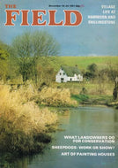 The Field magazine, November 18-24 1981: village life at Hammoon and Shillingstone, what landowners do for conservation, sheepdogs: work or show, art of painting houses