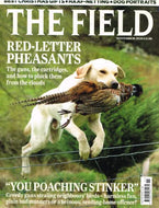 The Field magazine, November 2010: red-letter pheasants, guns, cartridges, poachers, Christmas gifts, haaf-netting, dog portraits