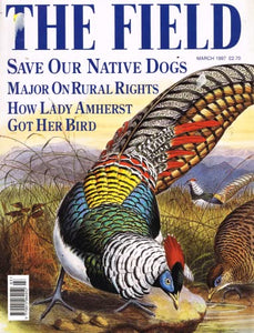 The Field magazine, March 1997: save our native dogs, John Major on rural rights, how Lady Amherst got her bird