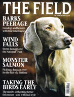 The Field magazine, October 2007: gundogs, hounds, storm damage and the National Trust, monster Russian salmon, bird shooting