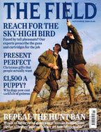 The Field magazine, November 2008: tall pheasants, sky-high birds, guns and cartridges, Christmas gifts, price of dogs, repeal the hunt ban