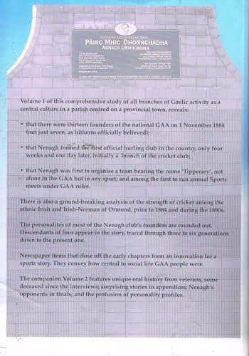 Gaelic Sport in Nenagh, Volume Three: 1960 to 2000
