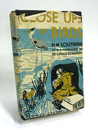 Close-Ups Of Birds