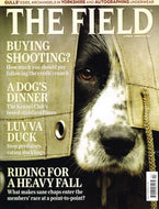 The Field magazine, April 2009, buying shooting, Kennel Club fiasco, duck, riding, members' race at a point-to-point, Gulls' eggs, archangels in Yorkshire, autographing underwear