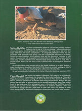 Load image into Gallery viewer, Lithops: Treasures of The Veld