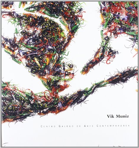 VIK MUNIZ