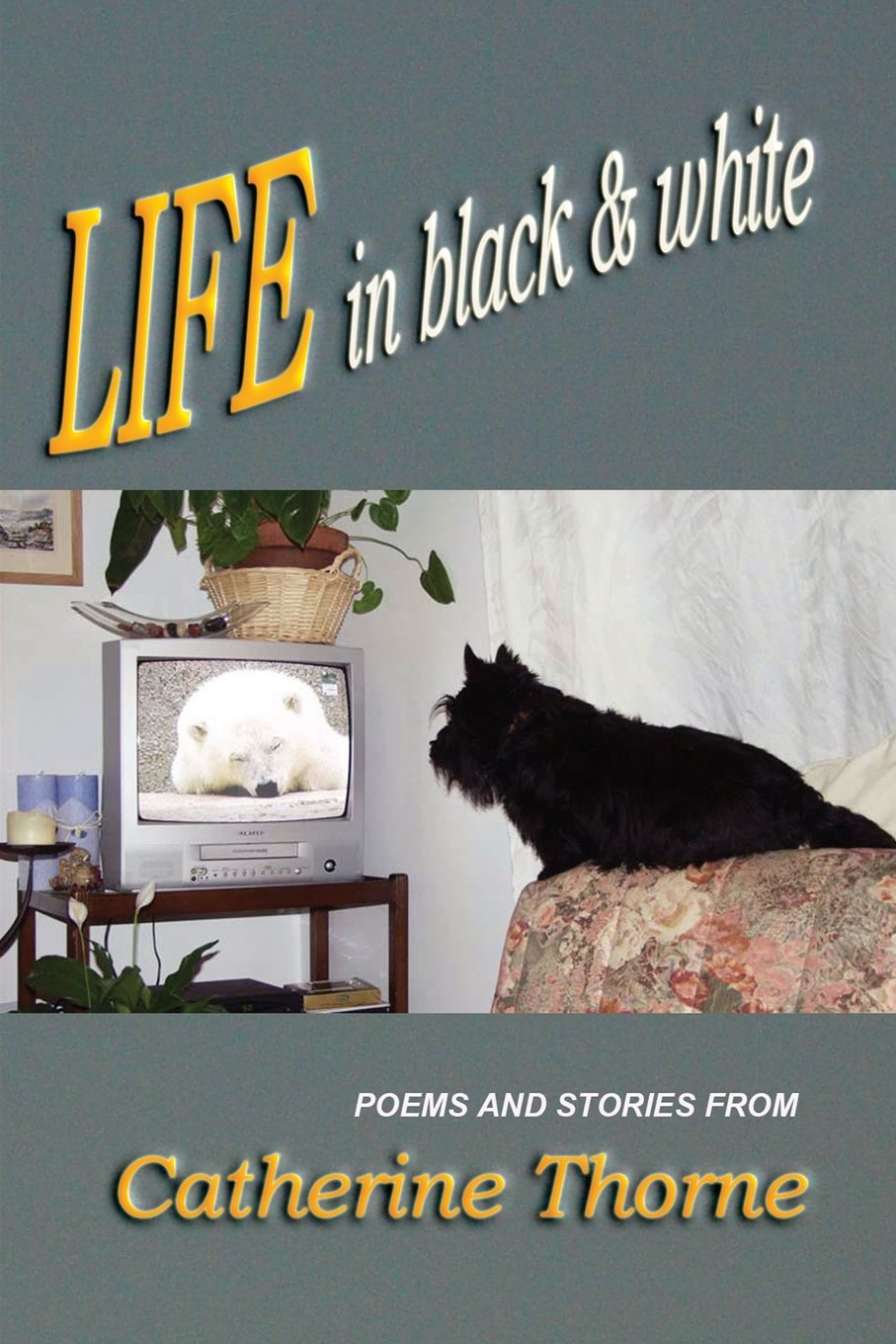 Life in Black & White