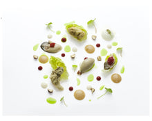 Load image into Gallery viewer, Let&#39;s Go Disco: Martijn Kajuiter at the Cliff House Hotel