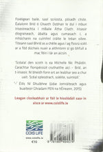 Load image into Gallery viewer, An tIrisheoir