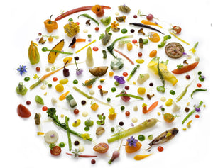 Let's Go Disco: Martijn Kajuiter at the Cliff House Hotel