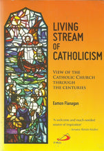 Load image into Gallery viewer, Living Stream of Catholicism