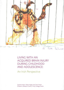 Living with an Acquired Brain Injury During Childhood and Adolescence: An Irish Perspective