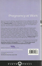 Load image into Gallery viewer, Pregnancy at Work: Health and Safety for the Working Woman