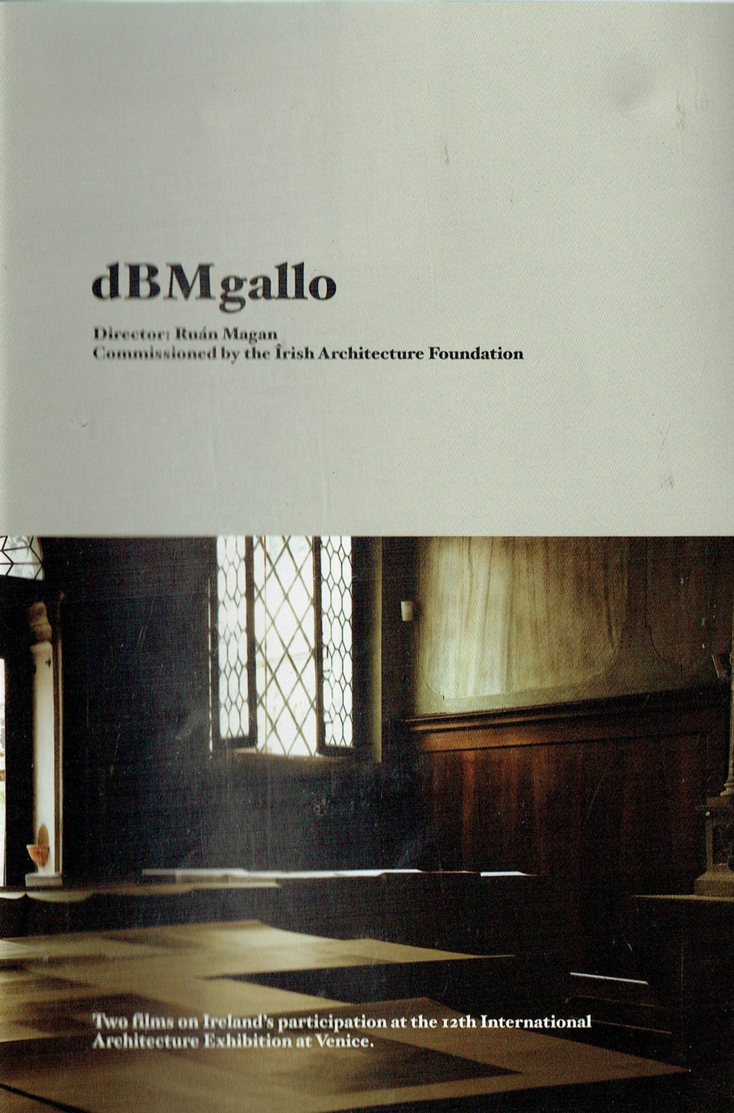 dBMgallo: Two Films on Ireland's Participation at the 12th International Architecture Exhibition at Venice