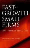 Fast-growth small firms: An Irish perspective