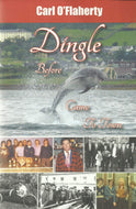 Dingle Before Funghi Came To Town (Dingle Before Came To Town)