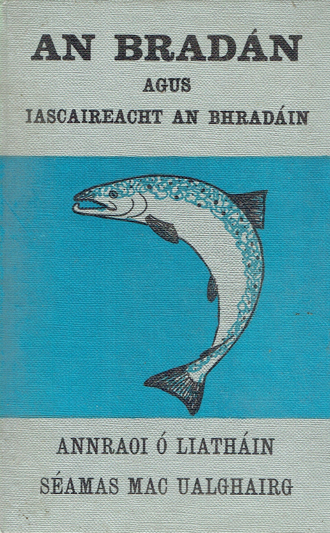 An bradán agus iascaireacht an bhradáin