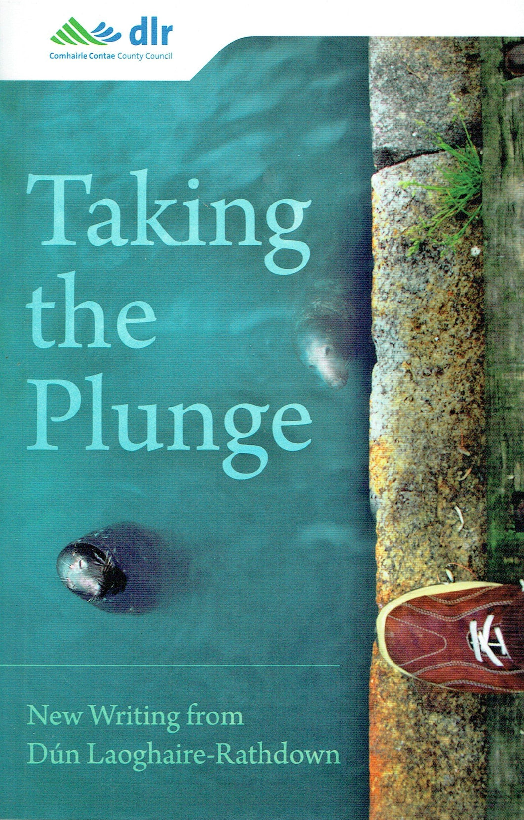 Taking the Plunge: New Writing from Dún Laoghaire-Rathdown