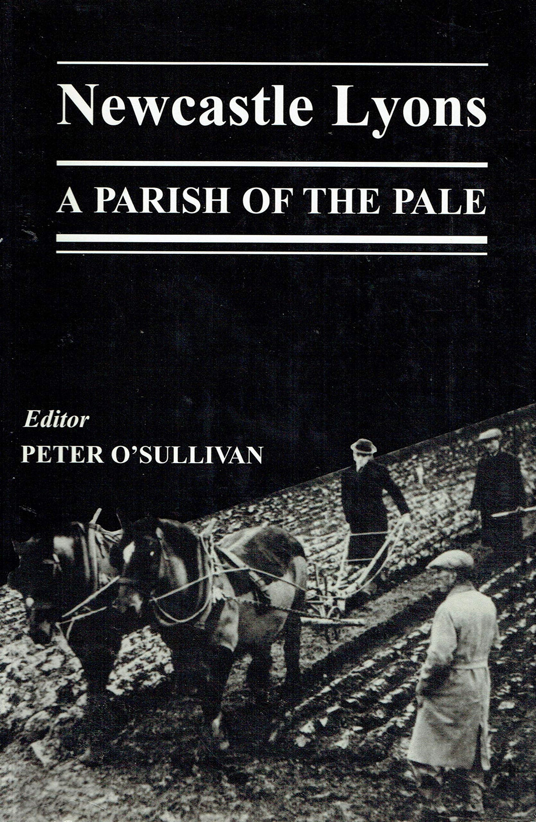 Newcastle Lyons: A Parish of the Pale