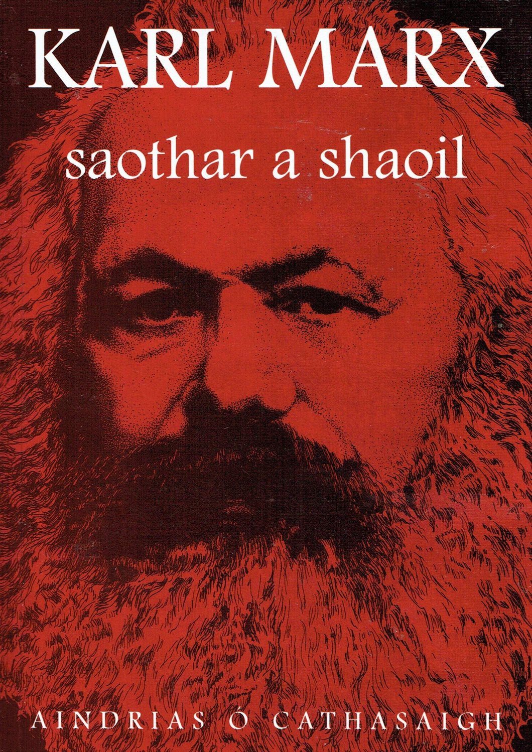 Karl Marx: Saothar a Shaoil