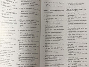 The Portglenone Psalms