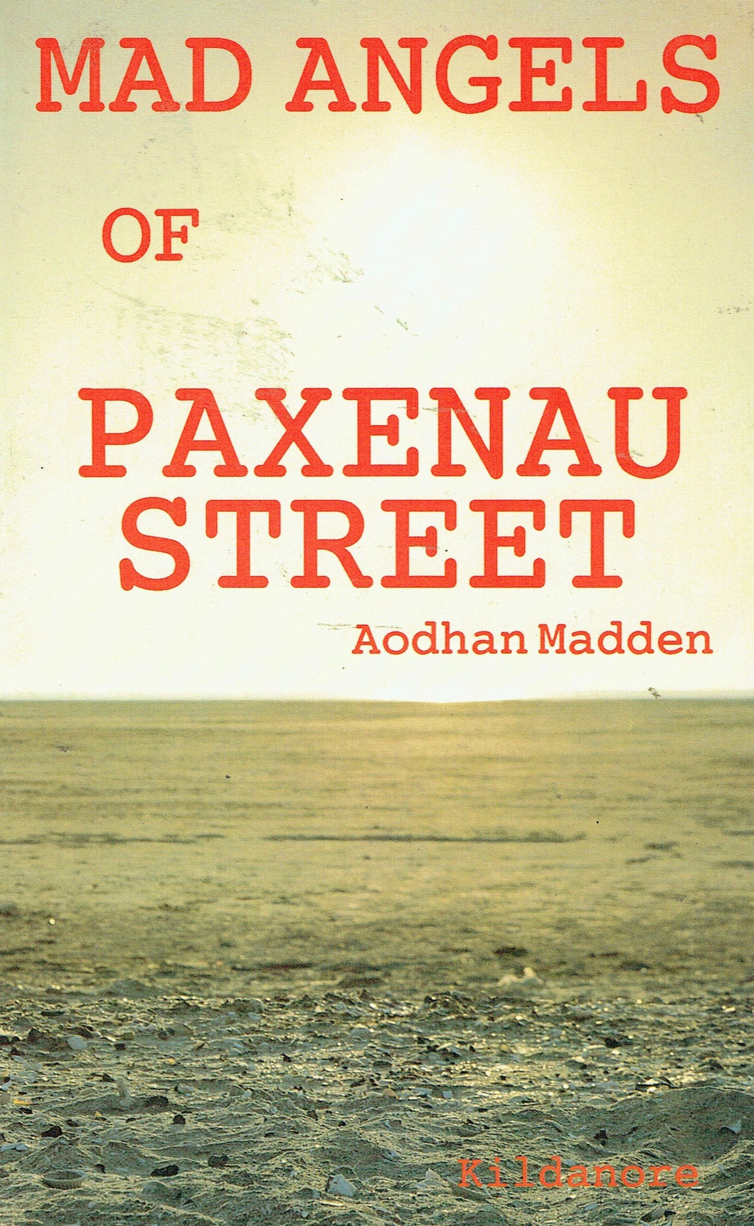 Mad angels of Paxenau Street