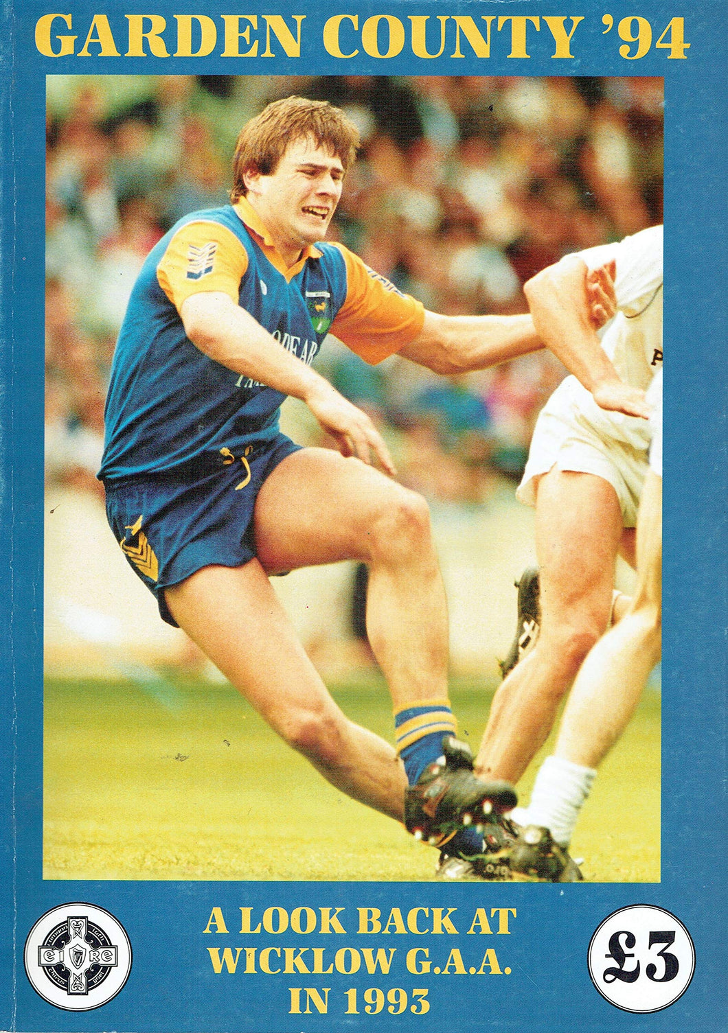 Garden County '94: A Look Back at Wicklow GAA in 1993