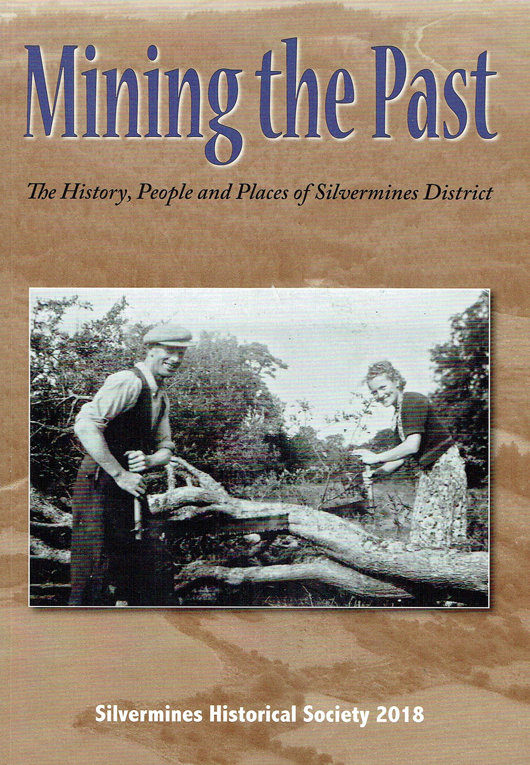 Mining the Past: The History, People and Places of Silvermines District