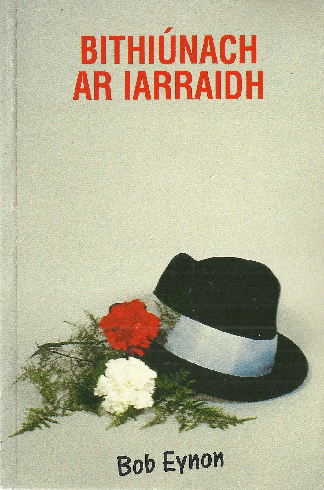 Bithiúnach ar iarraidh